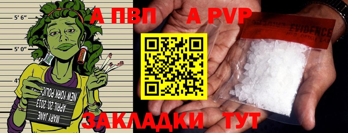 Alfa_PVP СК Грозный
