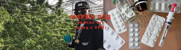 не бодяженный Абаза