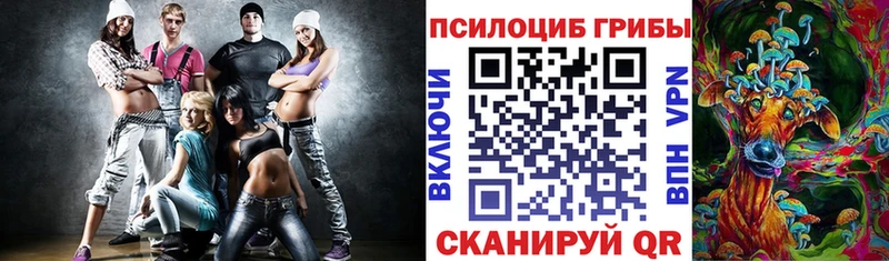 Псилоцибиновые грибы ЛСД Грозный