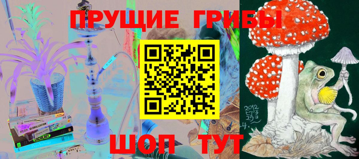 Грозный  Галлюциногенные грибы MAGIC MUSHROOMS  Вход с VPN 
