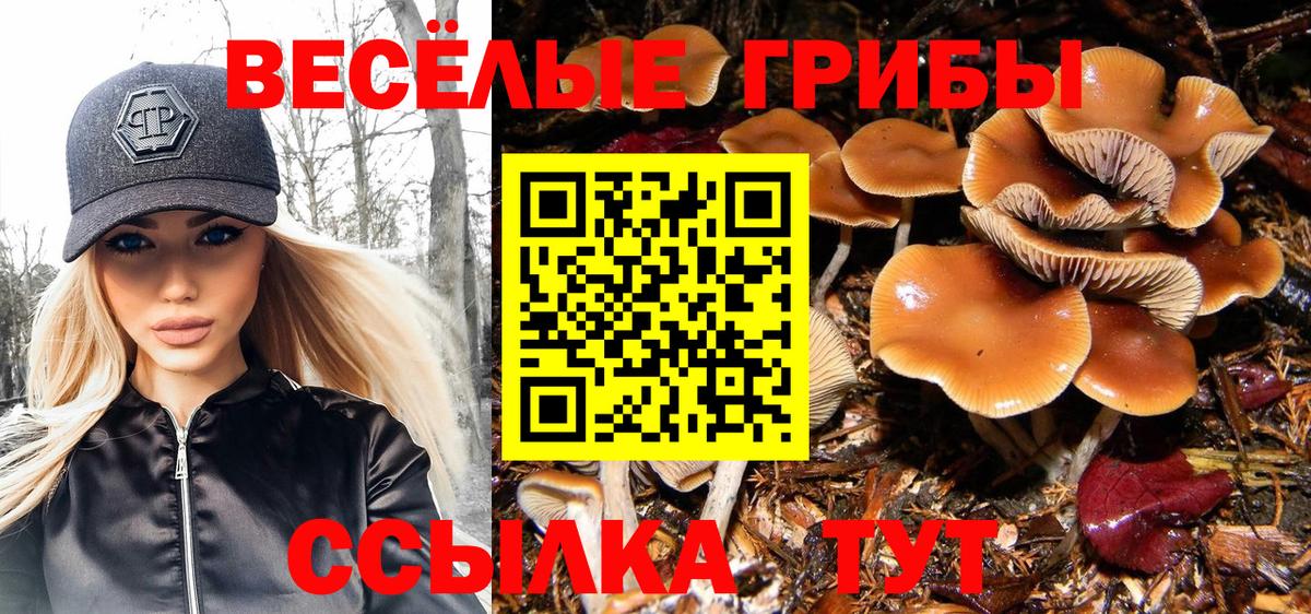 Галлюциногенные грибы прущие грибы Грозный