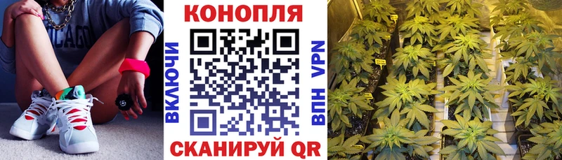МЕГА ссылка  Грозный  дарк нет состав  купить закладку  Бошки марихуана Amnesia 