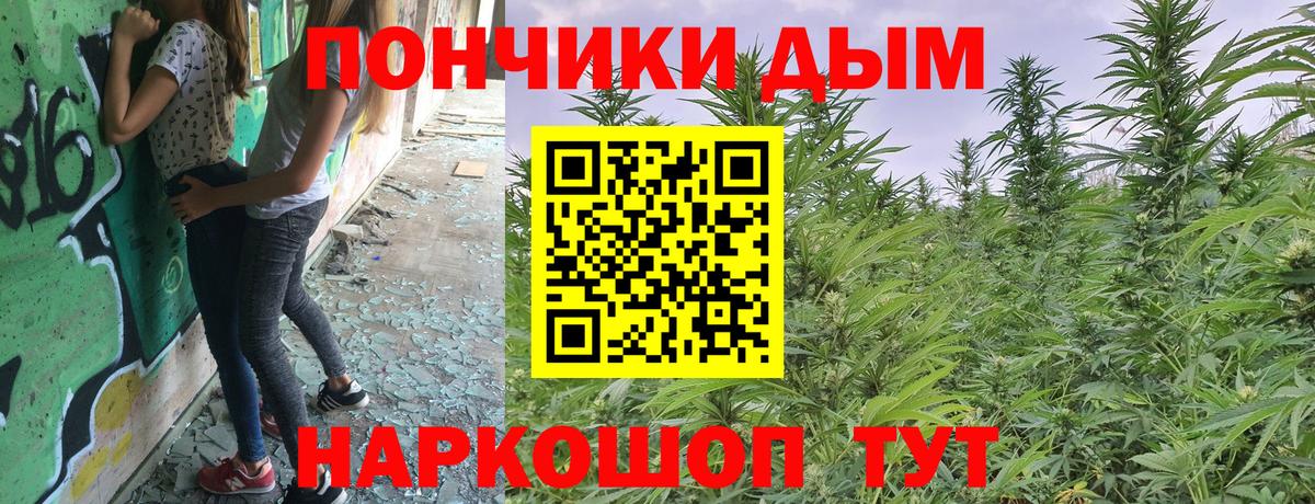 Грозный  Канабис индика  МАРИХУАНА AK-47  Вход с VPN  Бошки марихуана Bruce Banner 